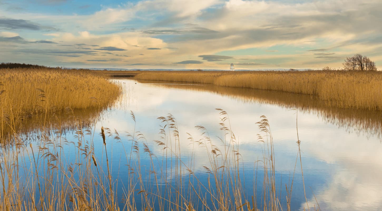 Newport Wetlands Nature Reserve