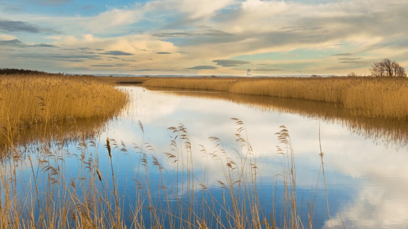 Newport Wetlands Nature Reserve