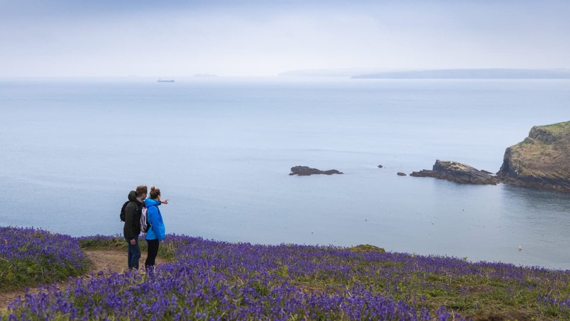 Pembrokeshire Coast