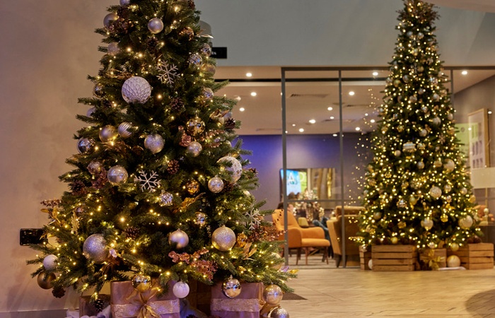 Ty Newport Christmas
