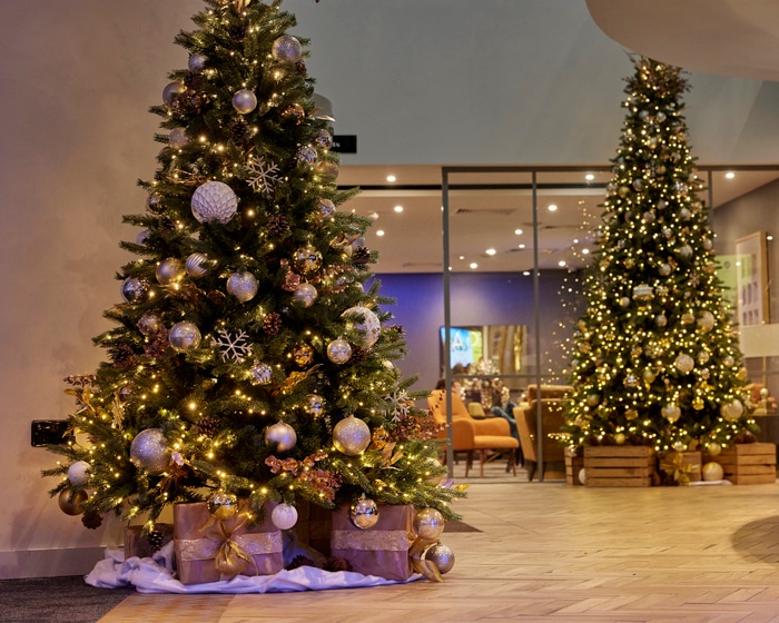 Ty Newport Christmas