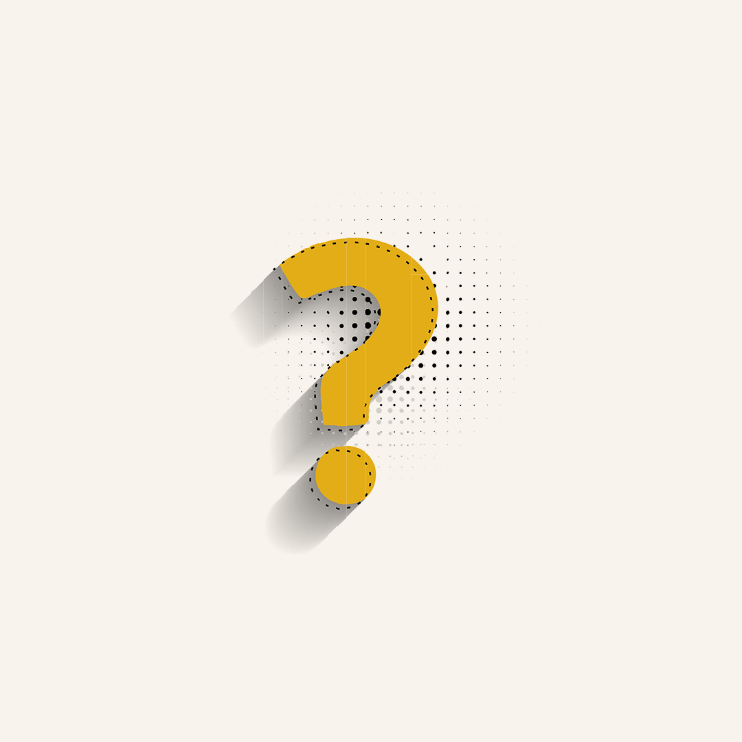 Tŷ Newport Quiz