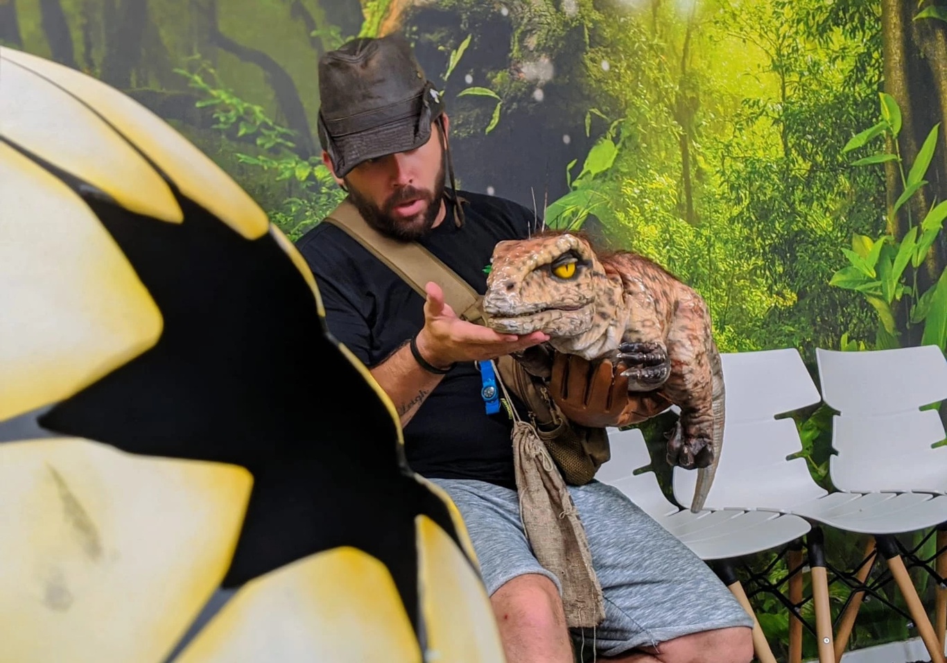 Dinomania Milford Waterfront